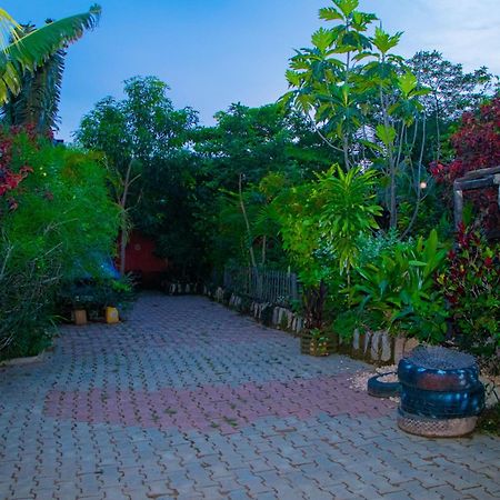 Natitingou Gite Chez Noel المظهر الخارجي الصورة